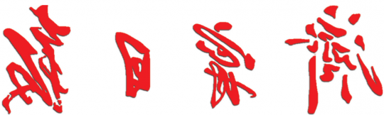 济宁日报：京杭巨轮扬帆起 通江达海续荣光