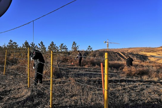 朱家峁煤矿开展“清除杂草，消除火灾隐患”活动