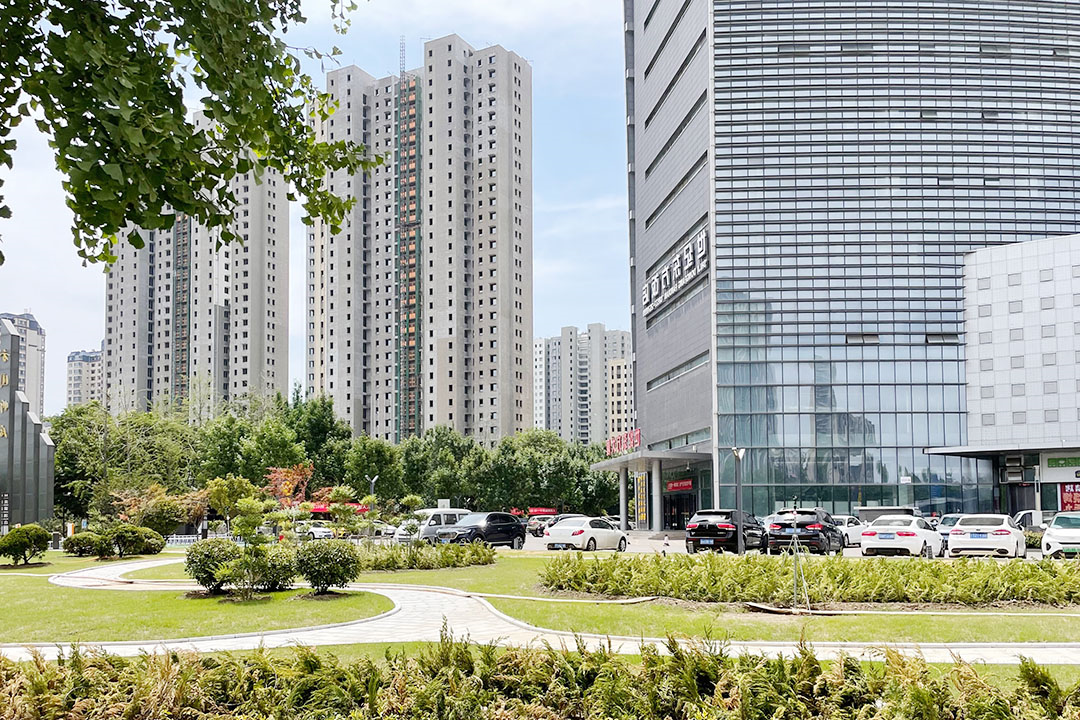 1654222246654513.jpg 10.jpg