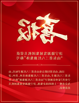 喜讯丨济宁能源这一集体被授予“山东省三八红旗集体”称号