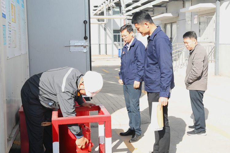 1700272024105066.jpg 7.jpg