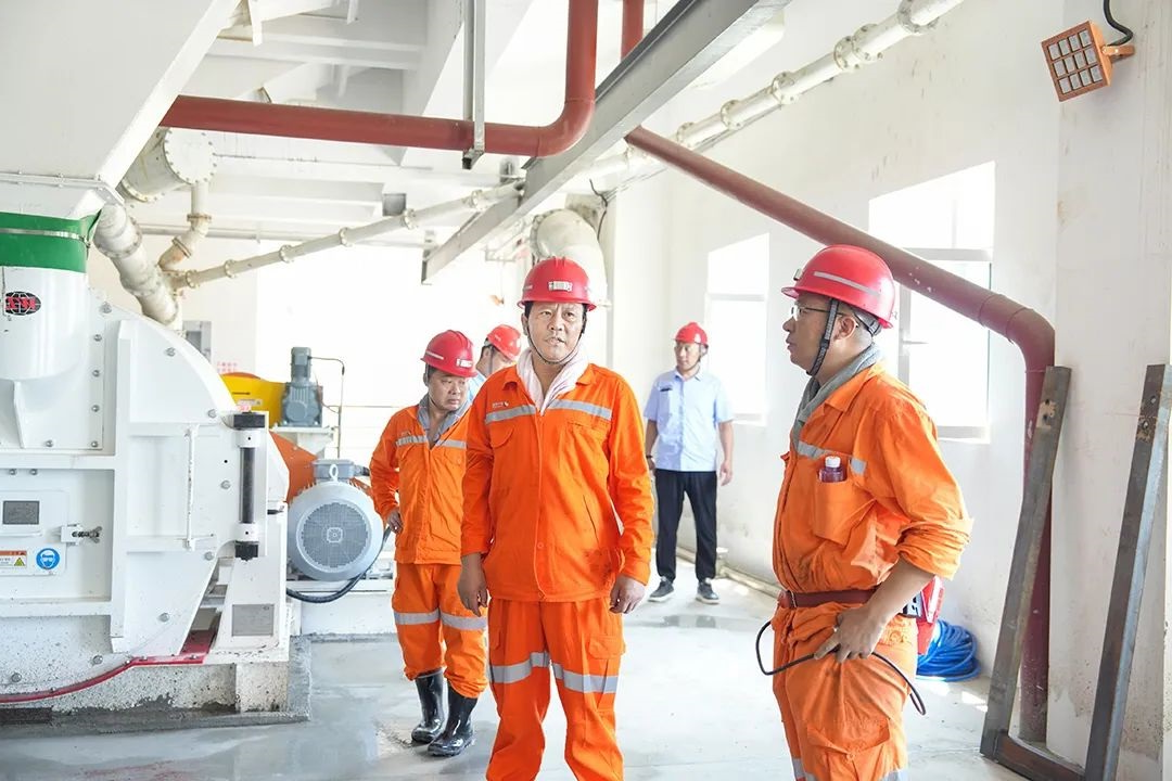 1725002538679902.jpg 0006.jpg