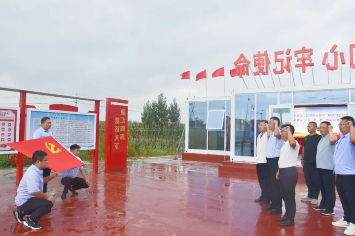 支部建在项目上！港建公司党建品牌助力项目建设跑出加速度